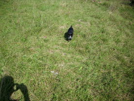 2010-10-09/DSCI6906.JPG