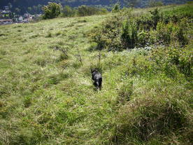2010-10-09/DSCI6909.JPG