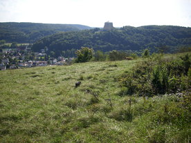 2010-10-09/DSCI6915.JPG