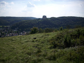 2010-10-09/DSCI6916.JPG