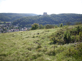 2010-10-09/DSCI6917.JPG