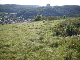 2010-10-09/DSCI6918.JPG