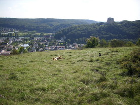 2010-10-09/DSCI6923.JPG
