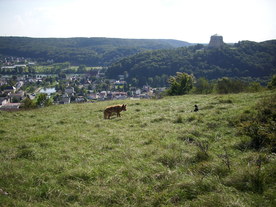 2010-10-09/DSCI6924.JPG