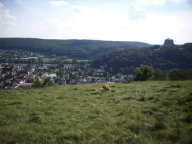 2010-10-09/DSCI6926.JPG