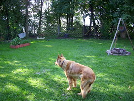 2010-10-09/DSCI6928.JPG