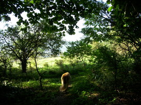 2010-10-09/DSCI6929.JPG