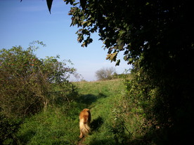2010-10-09/DSCI6930.JPG