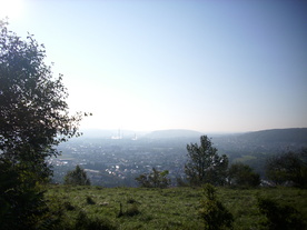 2010-10-09/DSCI6931.JPG