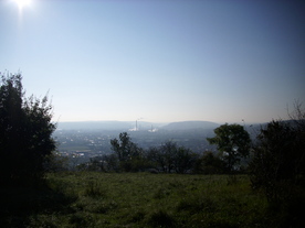 2010-10-09/DSCI6935.JPG