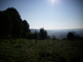2010-10-09/DSCI6936.JPG