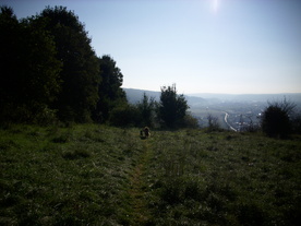 2010-10-09/DSCI6937.JPG