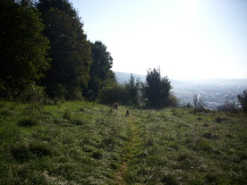 2010-10-09/DSCI6938.JPG