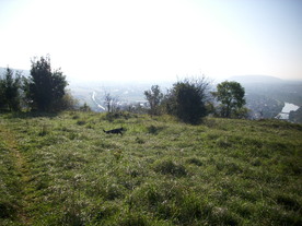 2010-10-09/DSCI6939.JPG