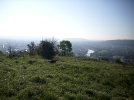 2010-10-09/DSCI6940.JPG