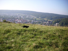 2010-10-09/DSCI6941.JPG