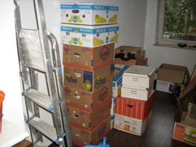 2010-10-09/DSCI6944.JPG