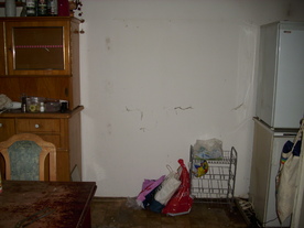 2010-10-09/DSCI6945.JPG
