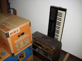 2010-10-09/DSCI6946.JPG