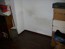 2010-10-09/DSCI6955.JPG